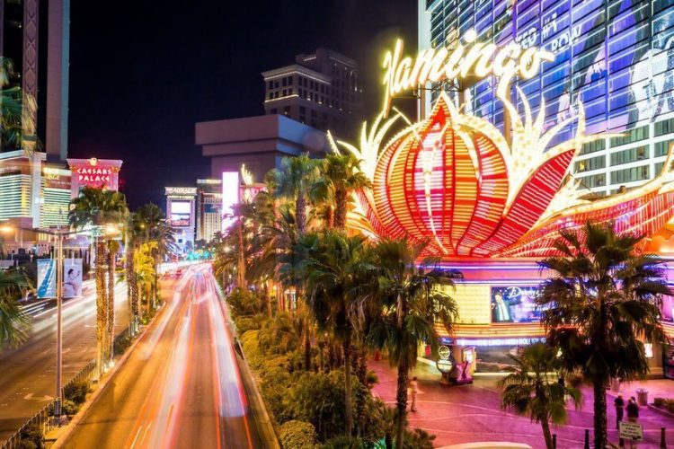 Flamingo-las vegas strip